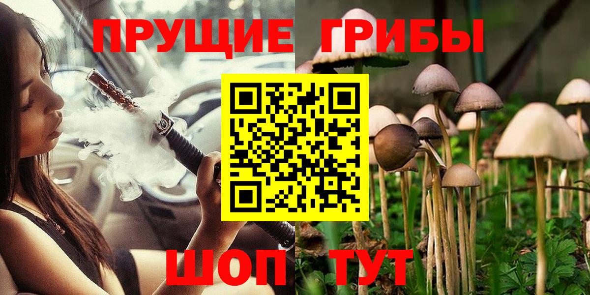 Галлюциногенные грибы прущие грибы Асино