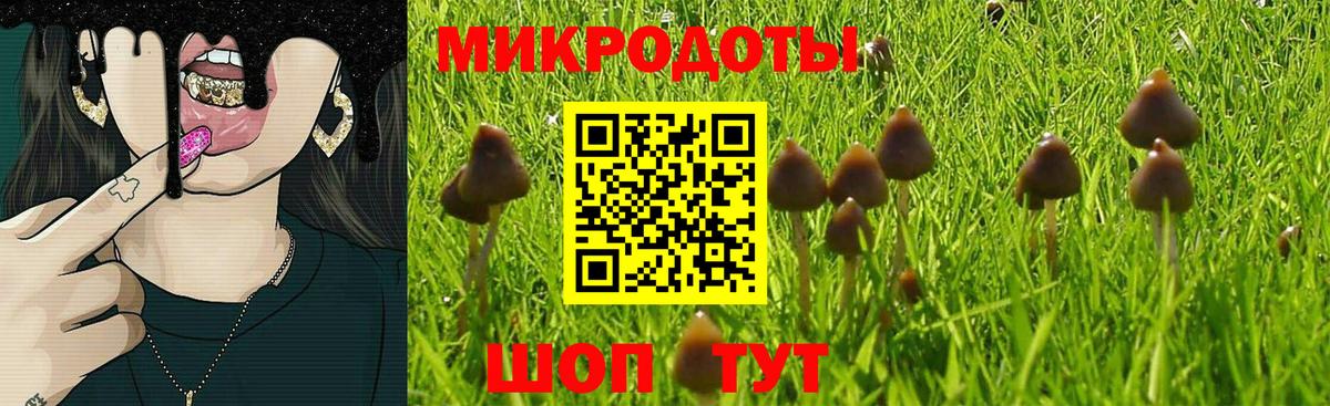 Галлюциногенные грибы ЛСД  Вход с VPN  Псилоцибиновые грибы MAGIC MUSHROOMS  Асино 