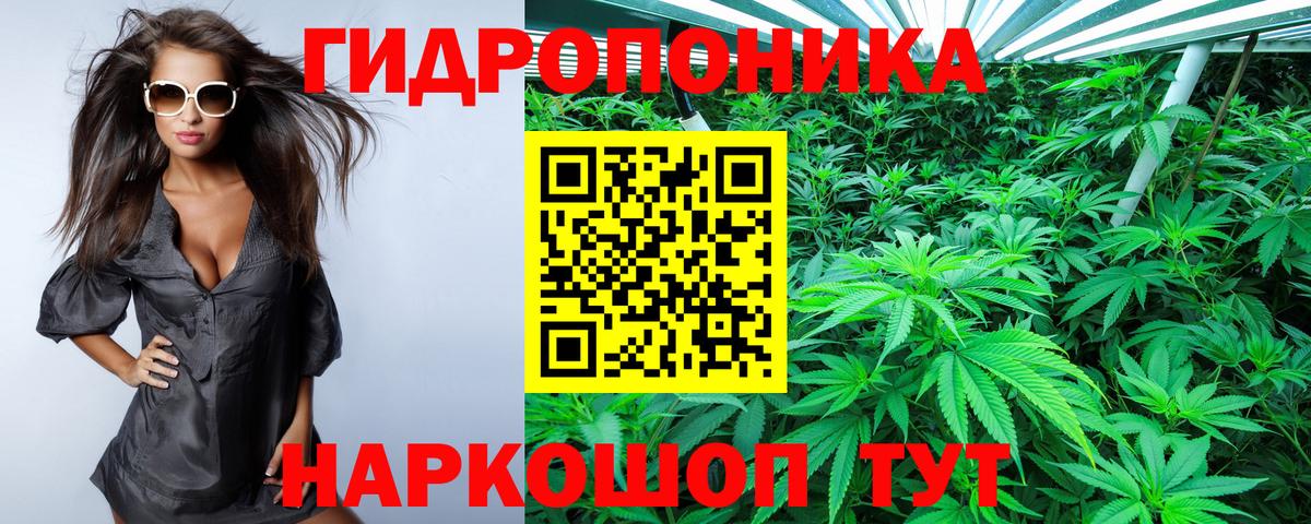 Конопля LSD WEED  Канабис Amnesia  Канабис сатива  Канабис MAZAR  Вход с VPN  Асино 